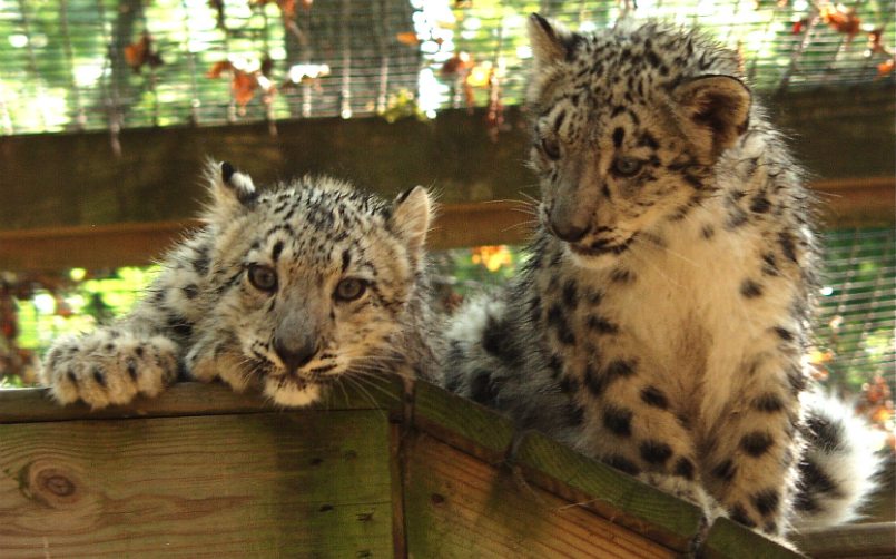 Top 6 Best Jersey S Zoos And Aquariums Your Family Will Love